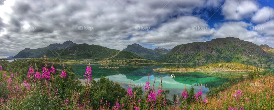 Lofoten landscape 