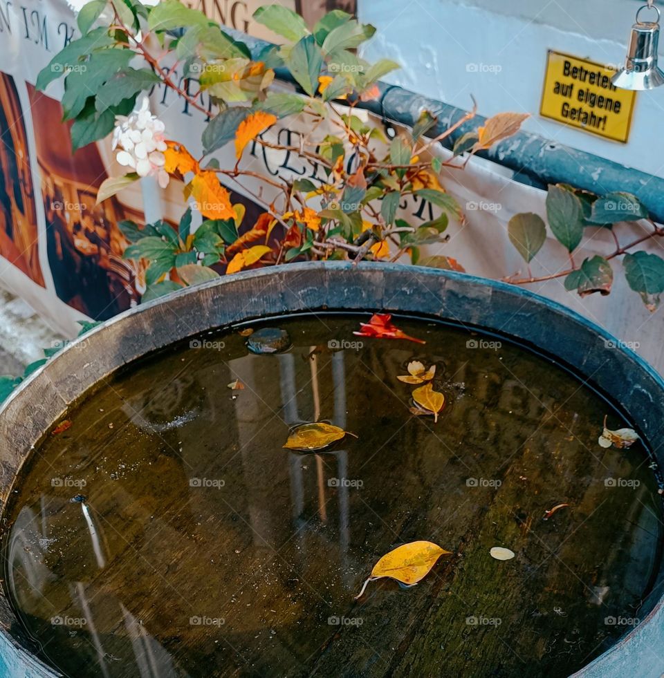 Close up shot of a wooden barrel filled with water and autumn leaves