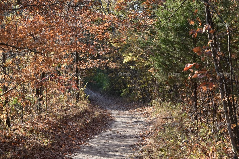 Autumn on the Katy Trail