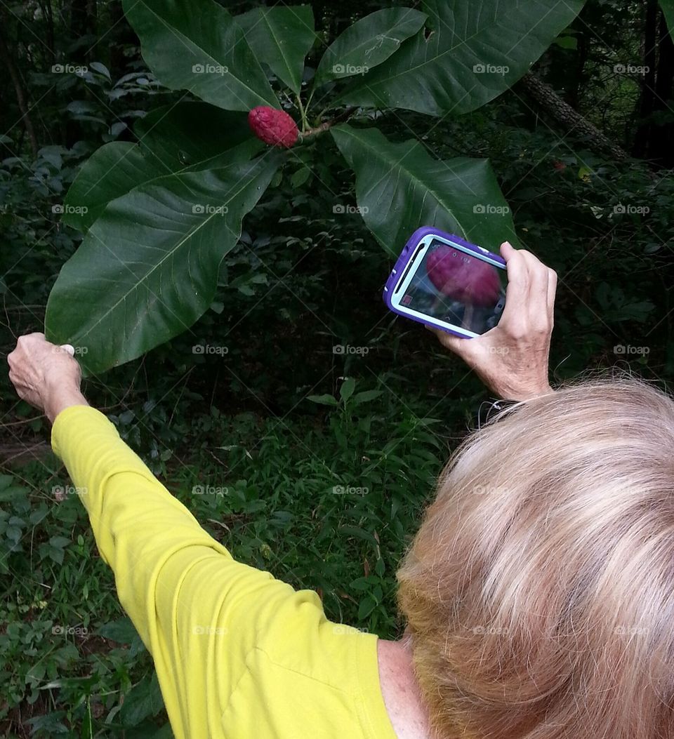 shooting picture of tree bloom