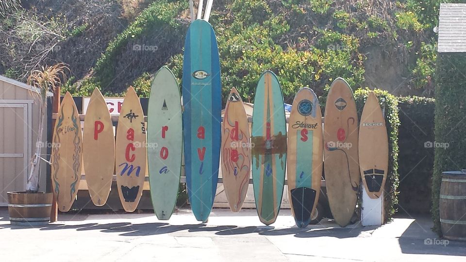 Boards In Paradise