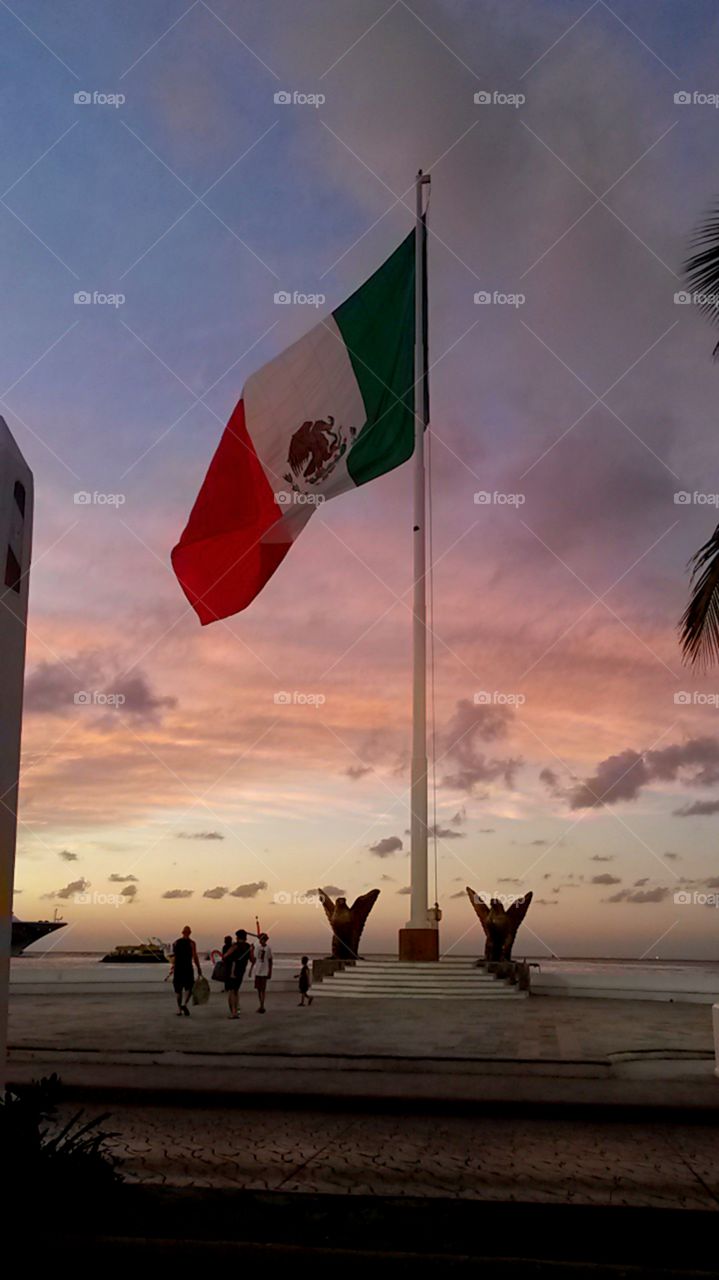 the mexican flag