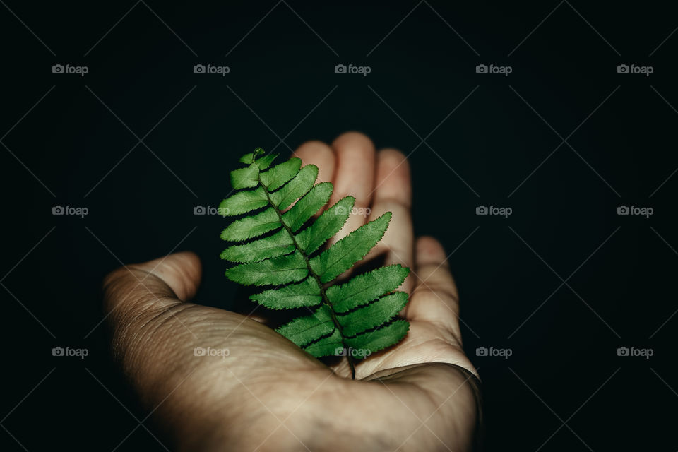 A photo of a tree on the hand
