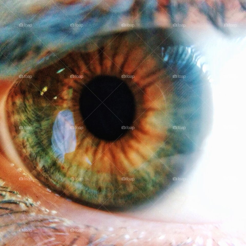 Blur, Color, Vision, Art, Insubstantial