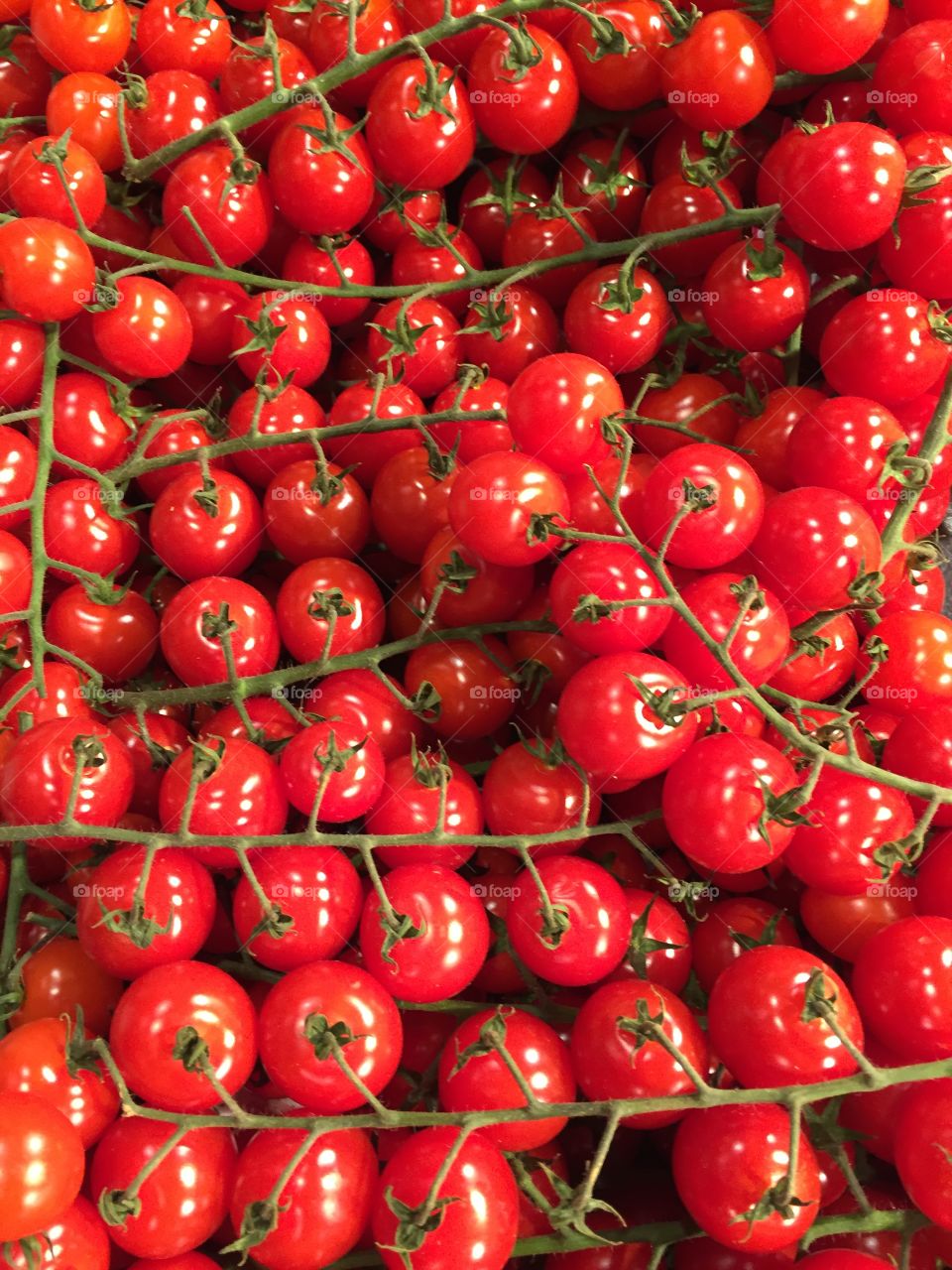 Cherry Tomatoes
Paris, France