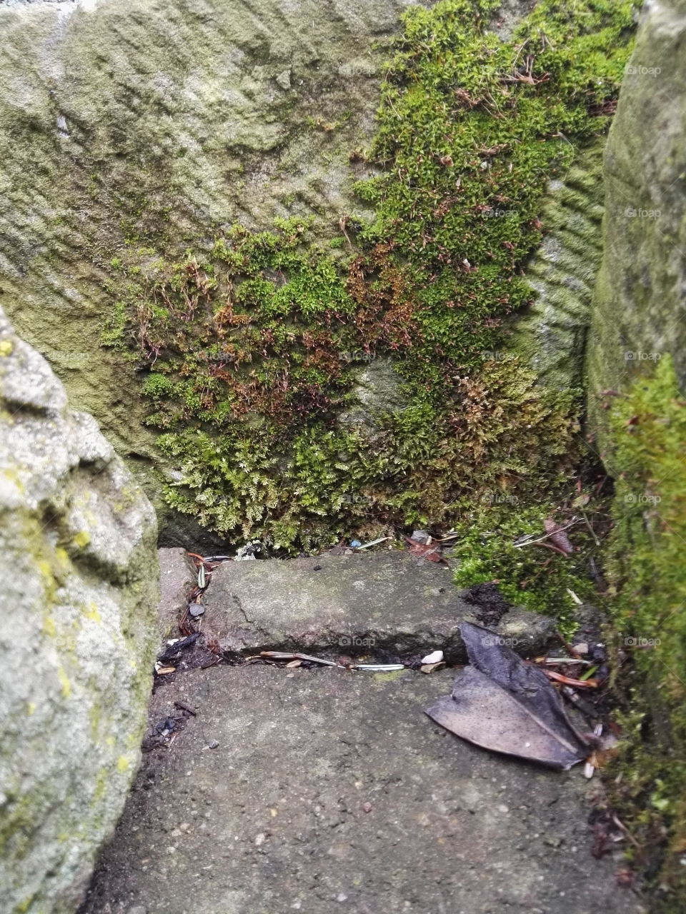 mossy stone decoration