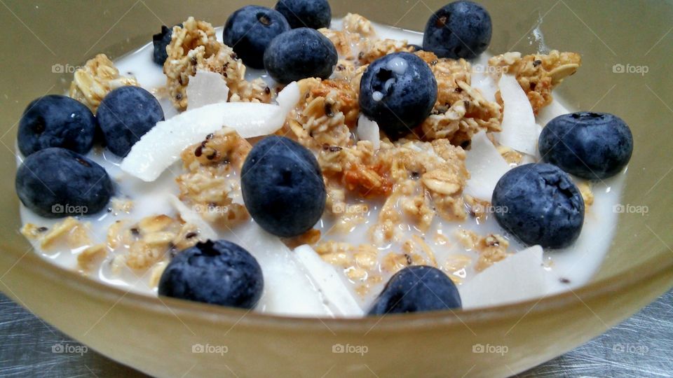 Coconut Chi seeds Granola with Blueberries