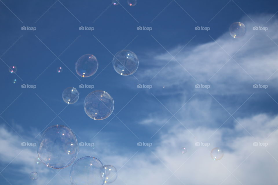 Bubbles 
