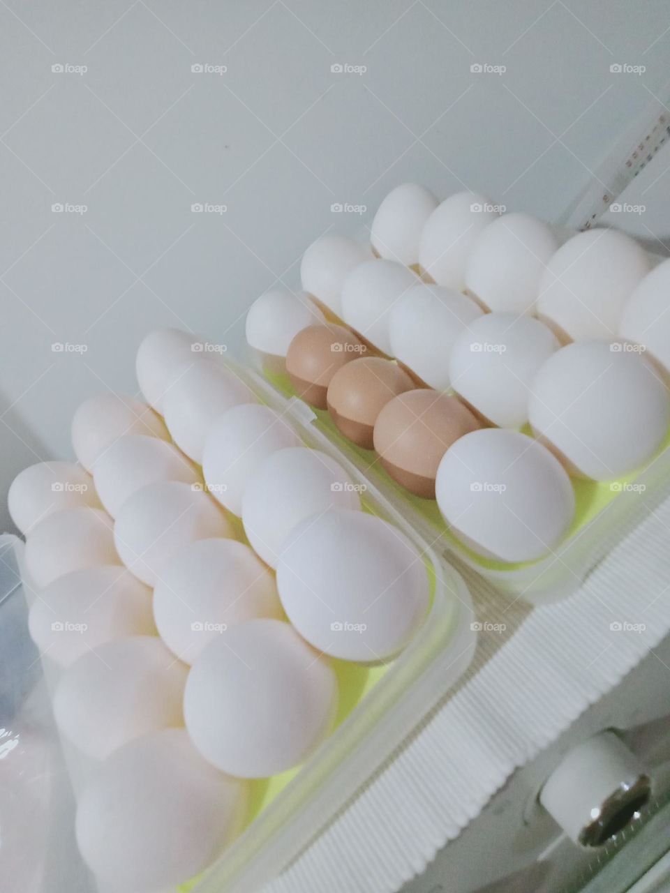 All about Egg. Egg-cellent incredibly healthy