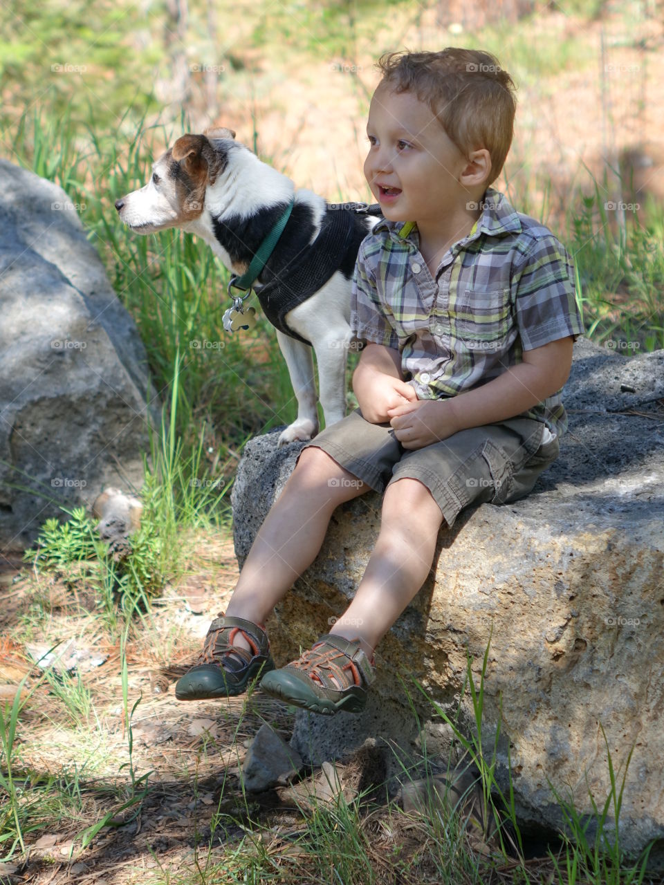 A little boy and his little Jack Russell Terrier sit on a giant boulder in the forests of Central Oregon on a sunny summer day. 