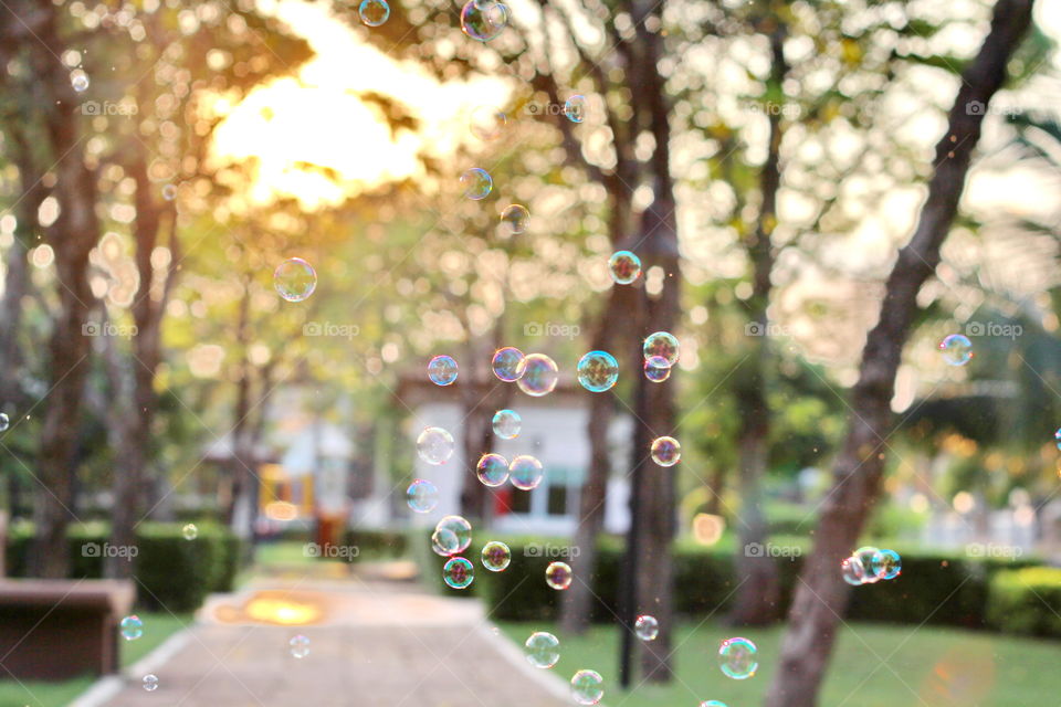 Bubble 