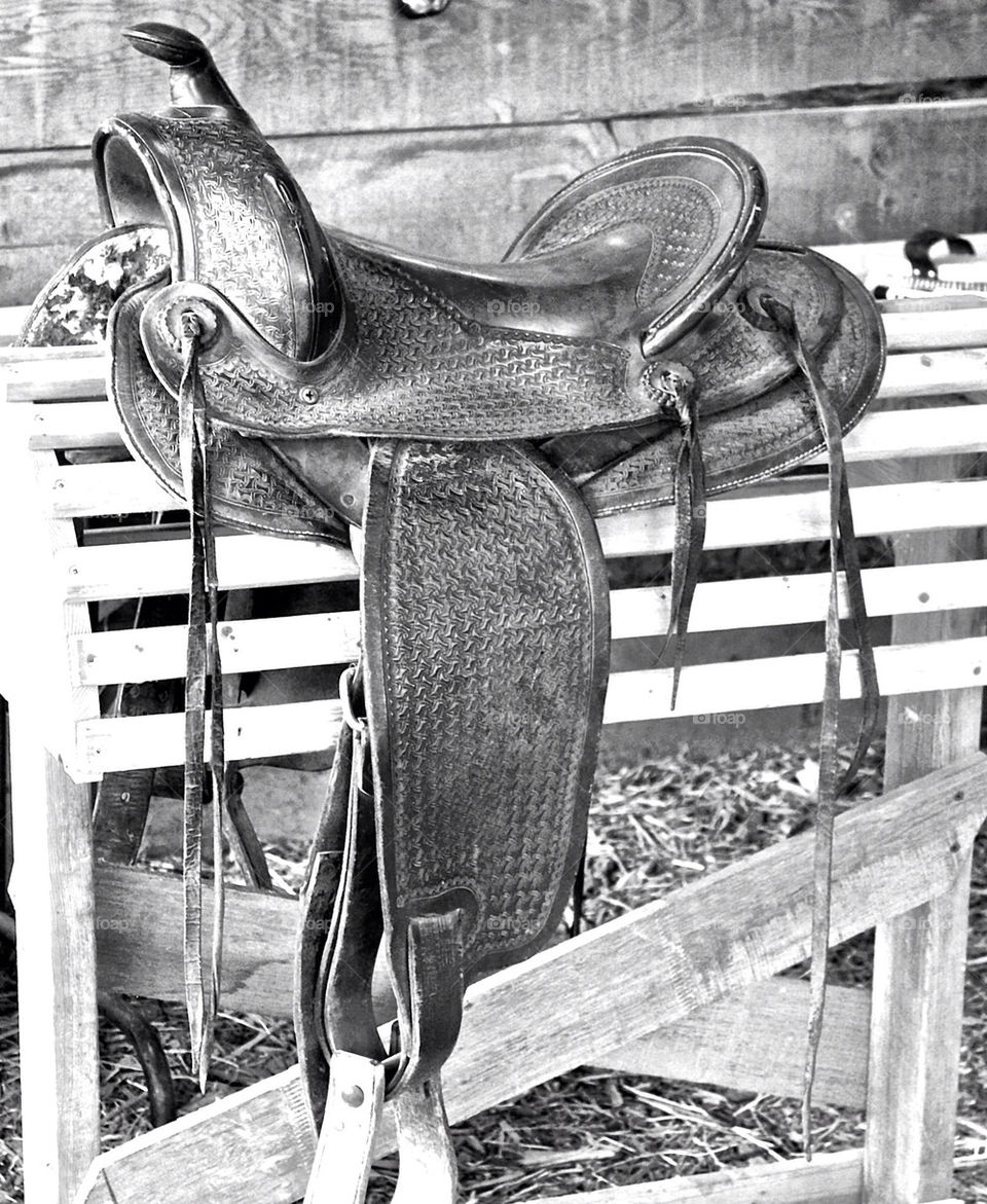 Saddle