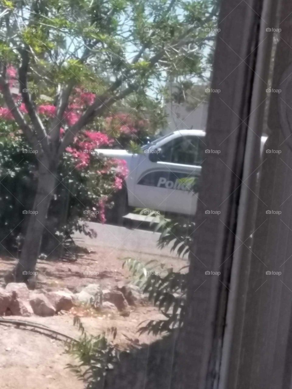 cops in the neighborhood