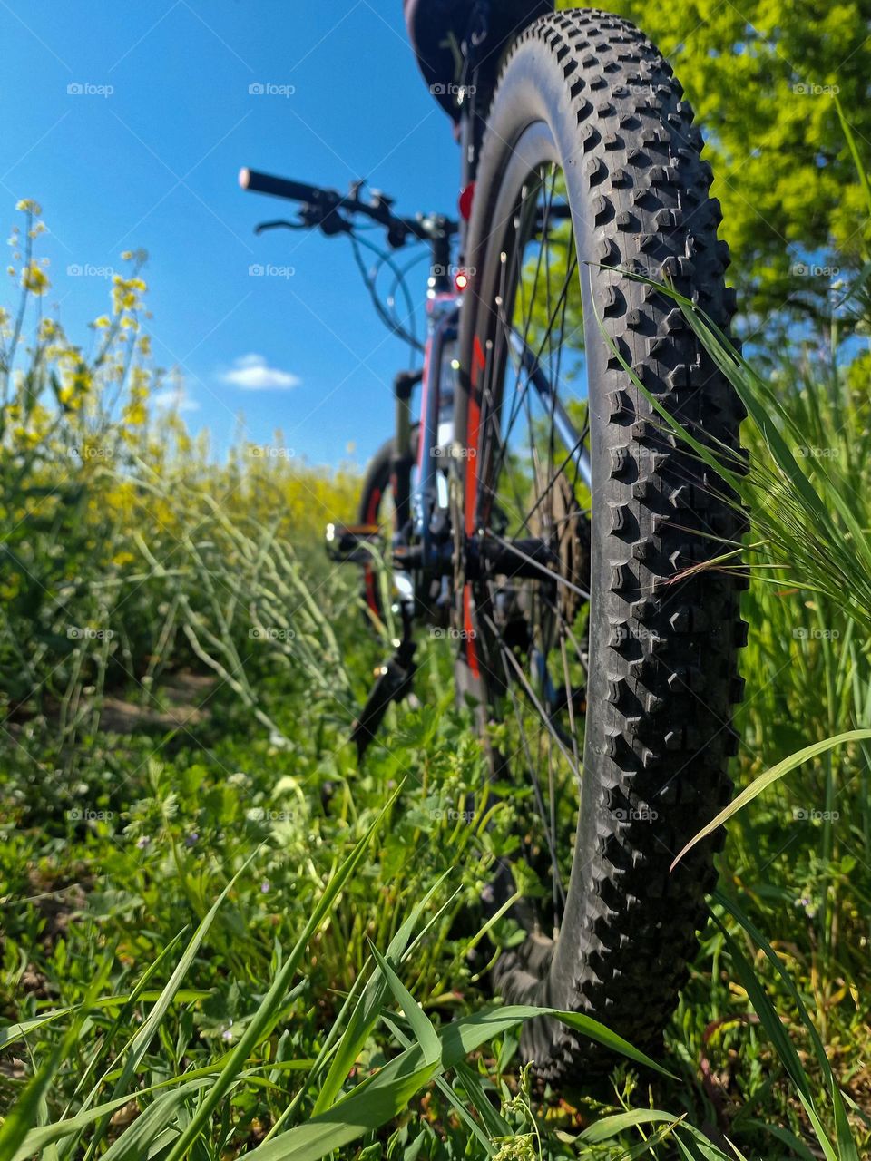 lone bicycle