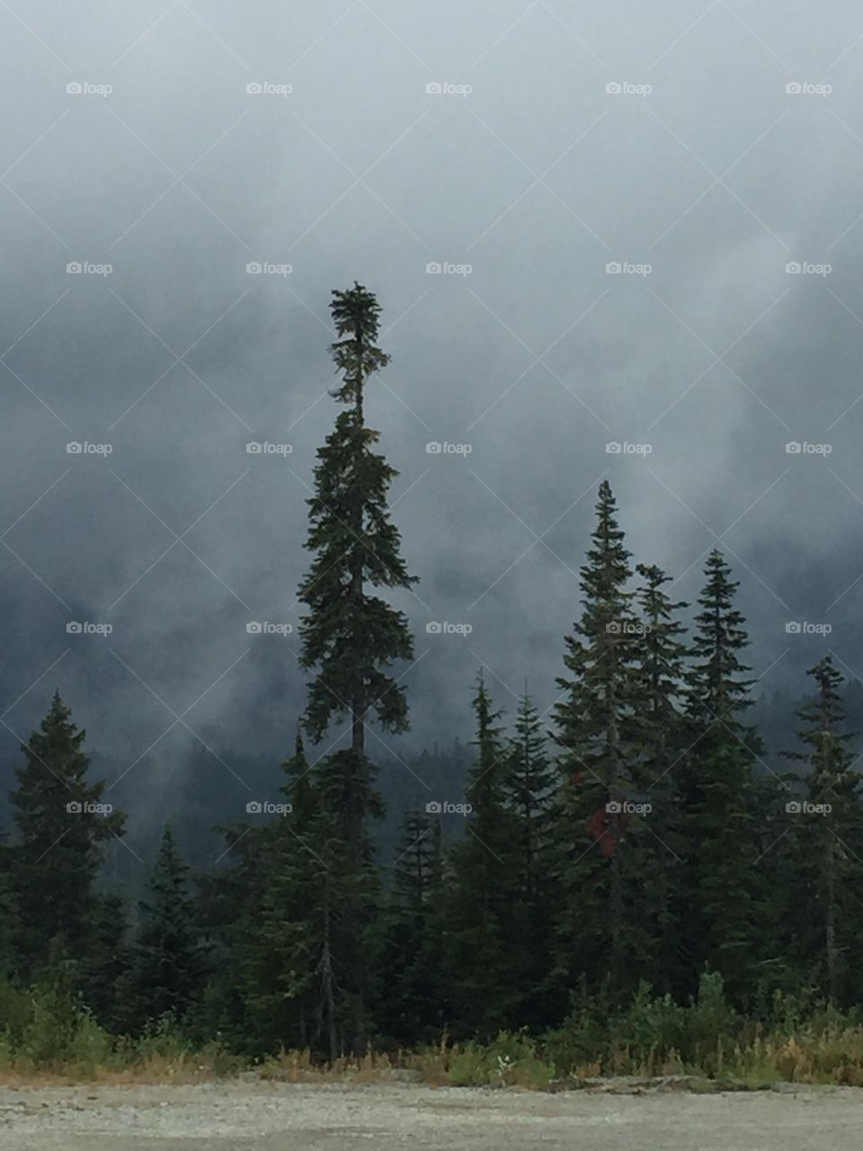 After an evening rain storm, the fog rolls into Callaghan Valley, British Columbia instead of forest fire smoke.