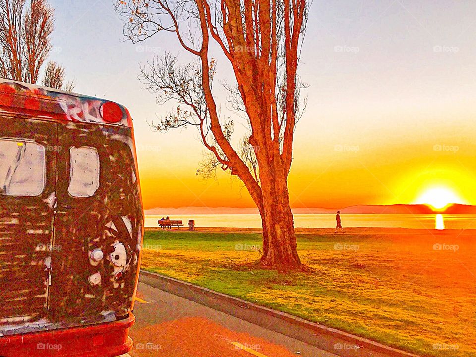 People, car, tree, grass, ocean... Most of all, the incredible sunset! 