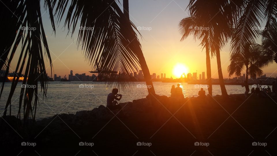Miami port sunset