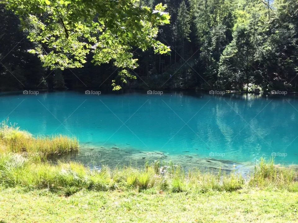blausee