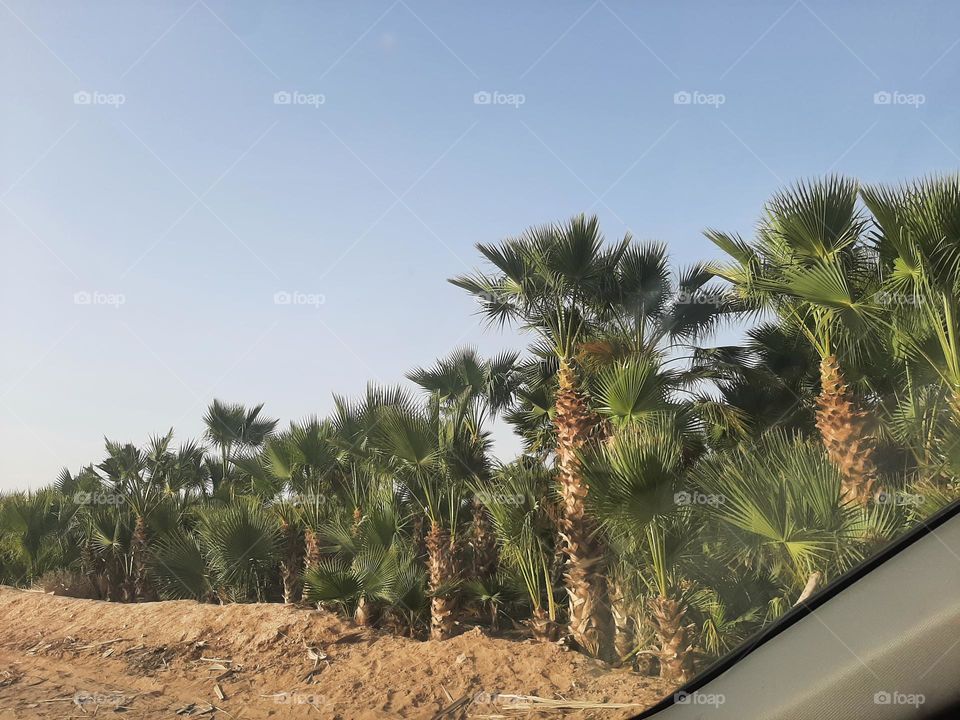 Please make me happy, I am poor, I need your help with support