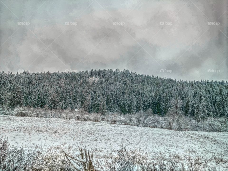 going to the mountains