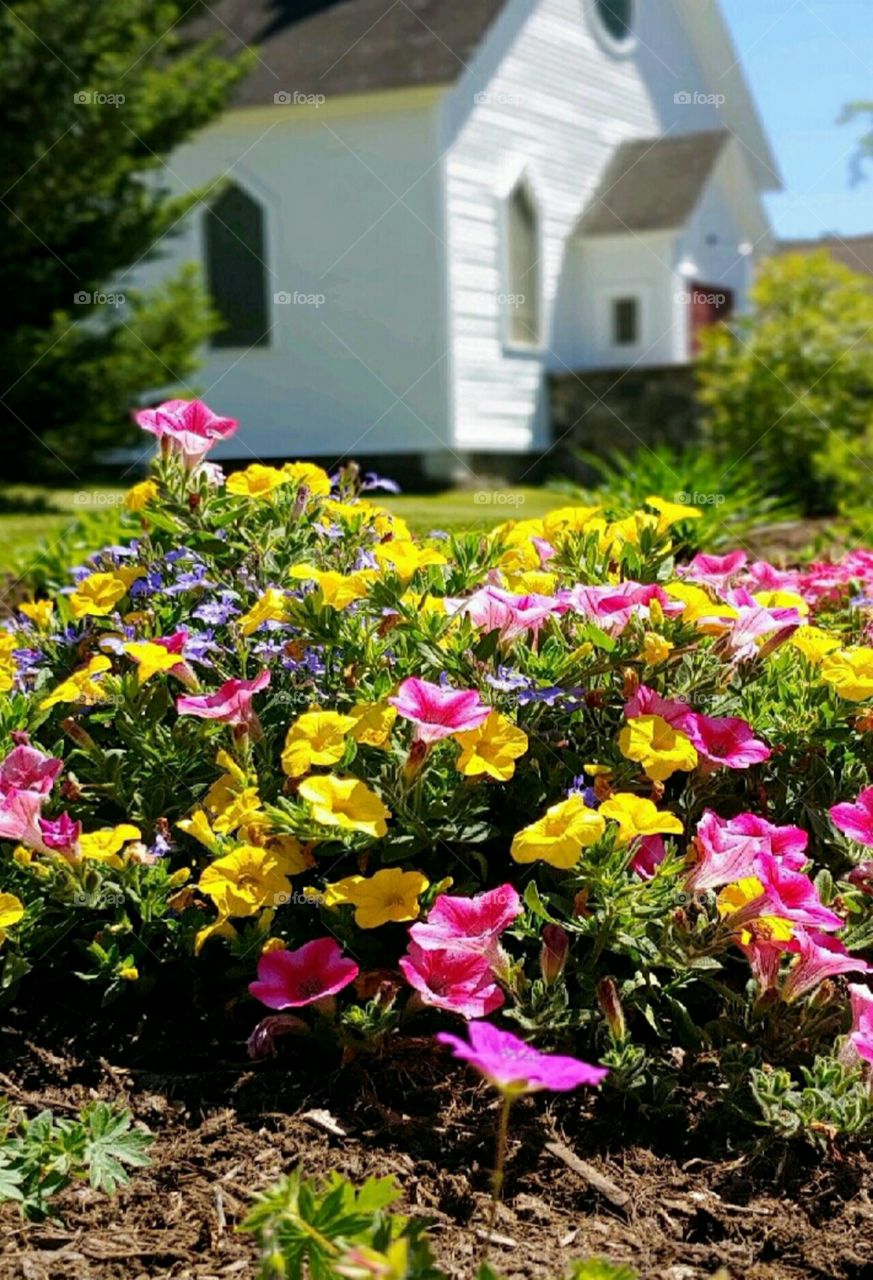 A Flowerbed outside the Church!