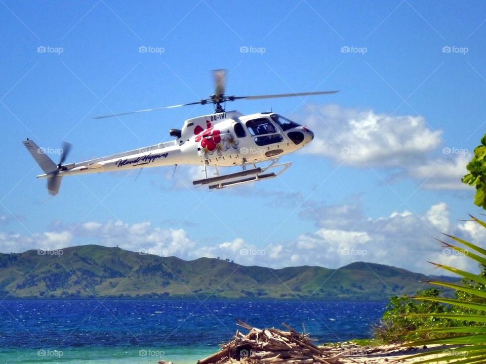 Fiji chopper