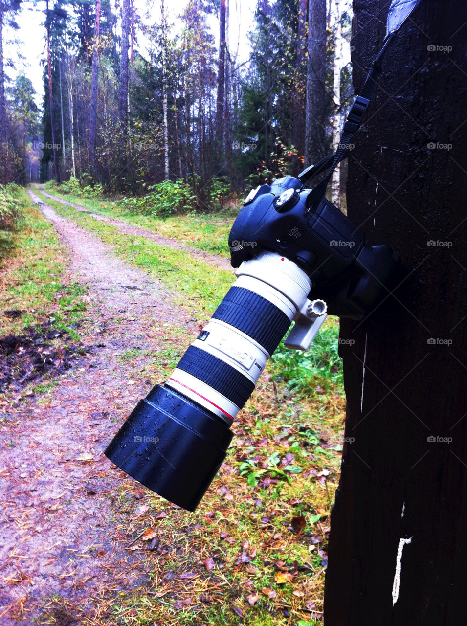 sweden vaggeryd by mbfoto