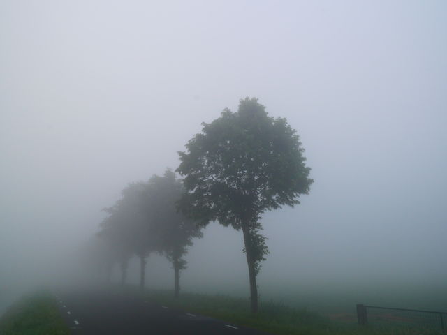 Foggy morning