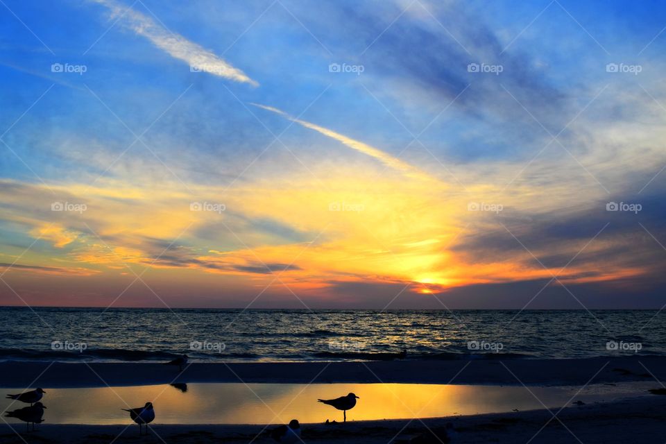 Scenic view of a beach