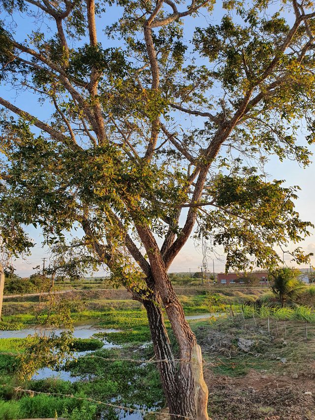 belezas naturais