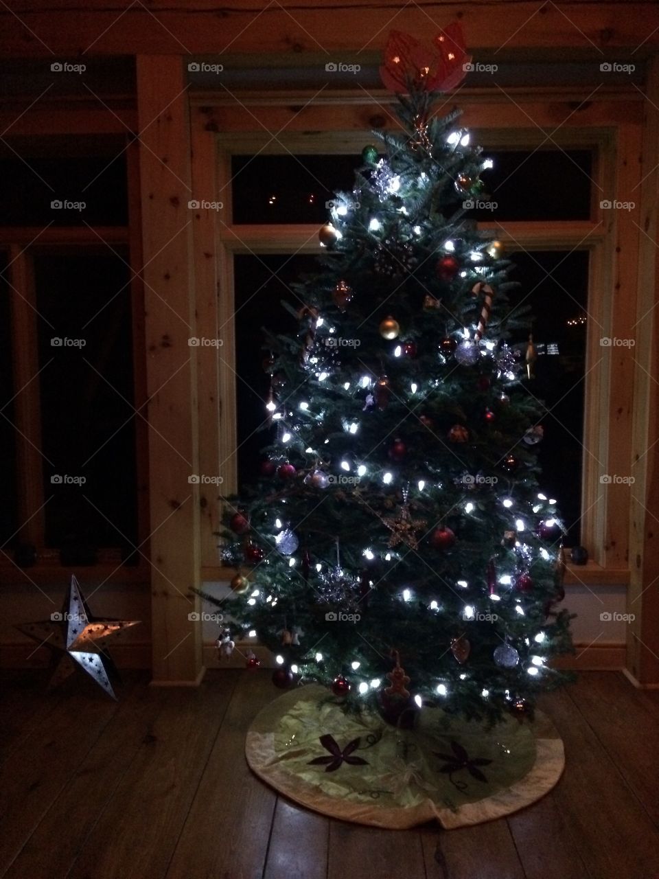 The Most Wonderful Time of the Year