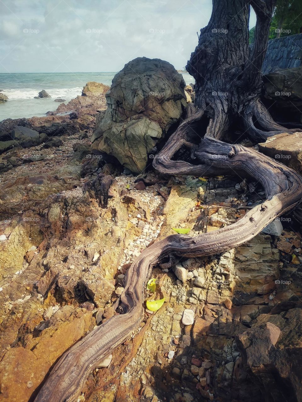 photography pictures of trees, mountains, cloves, rocks, sky, sea, sea