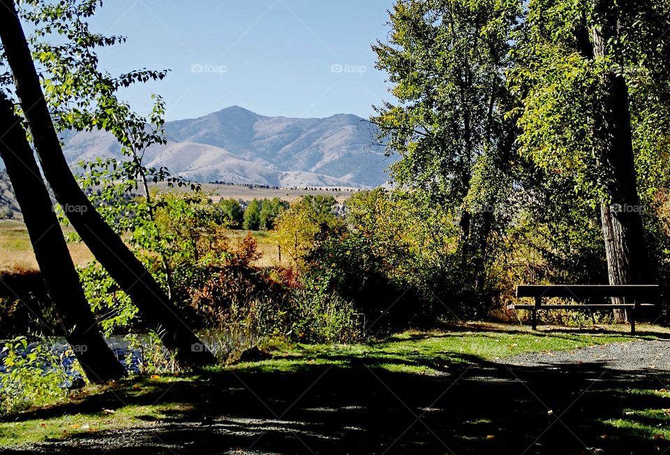 a park bench in the countryside of Eastern Oregon overlooking the John Day River with hills in the background on a sunny fall day. 