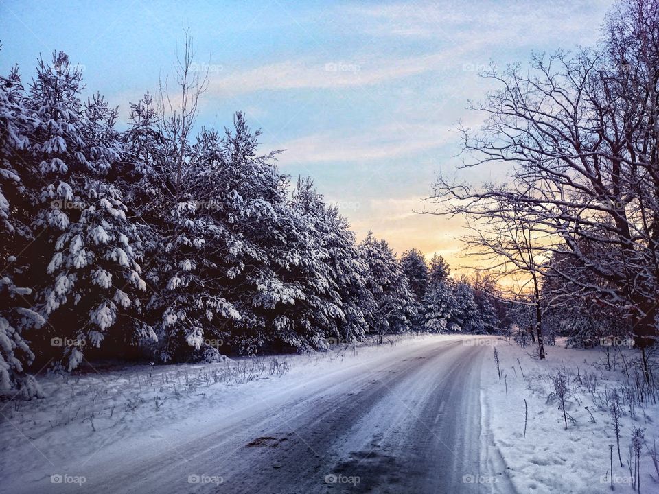 View of road in forest during winter