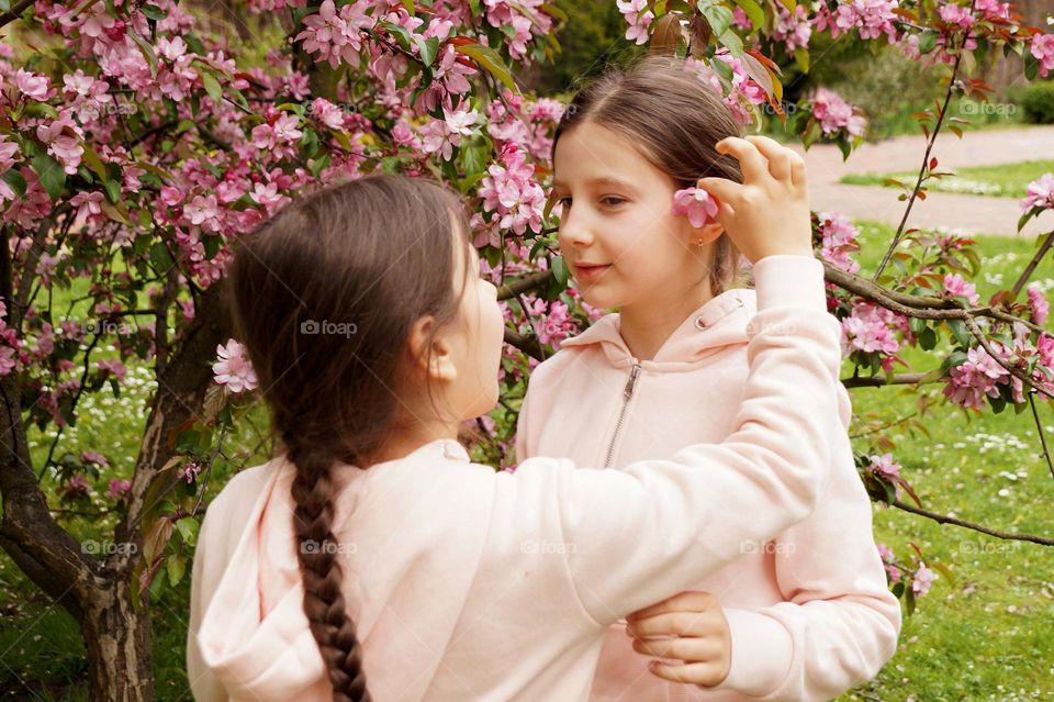 Two girls in blooming pink trees