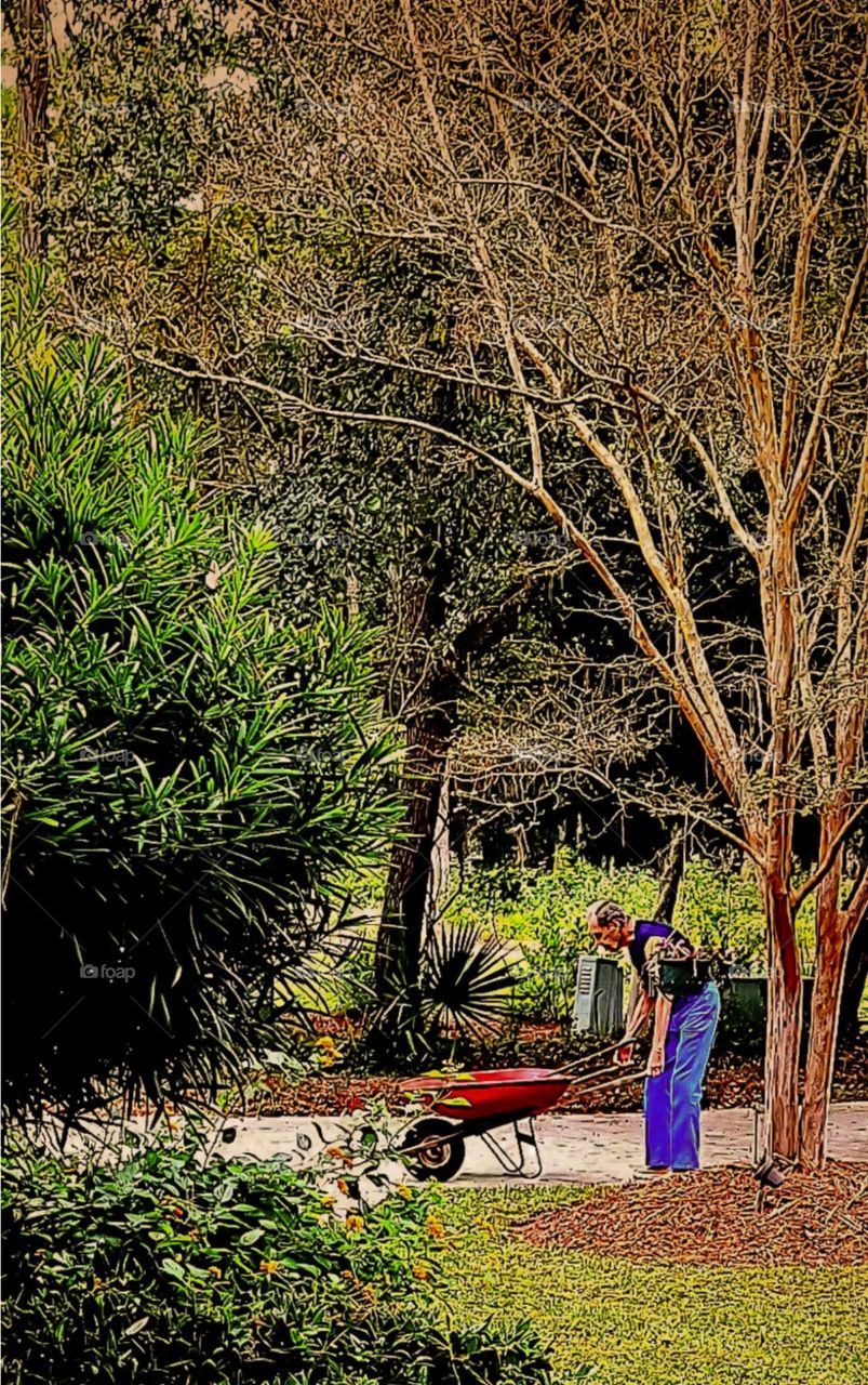 man working in yard in fall of the year