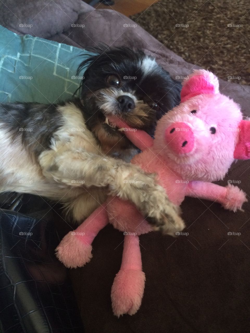 Savannah getting revenge on her toy piggy 