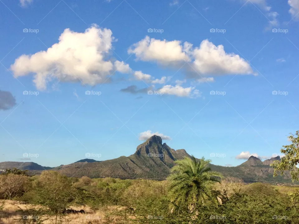 Nature