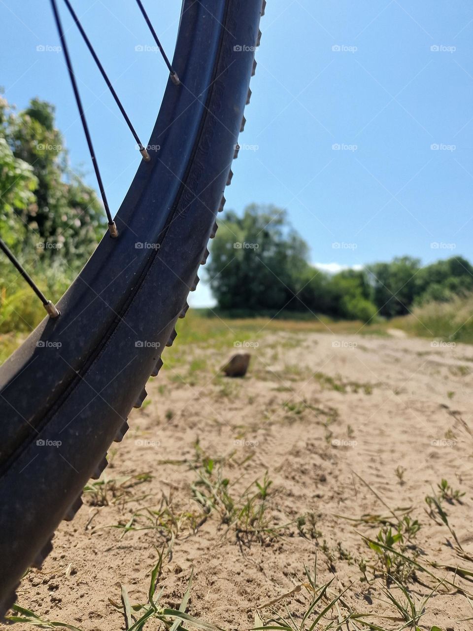 Bicycle on the forest road