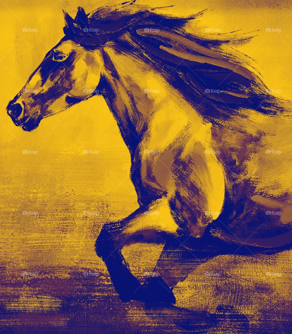 horse