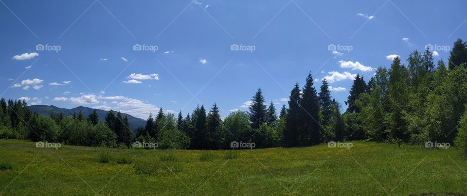 Carpathian mountains landscape