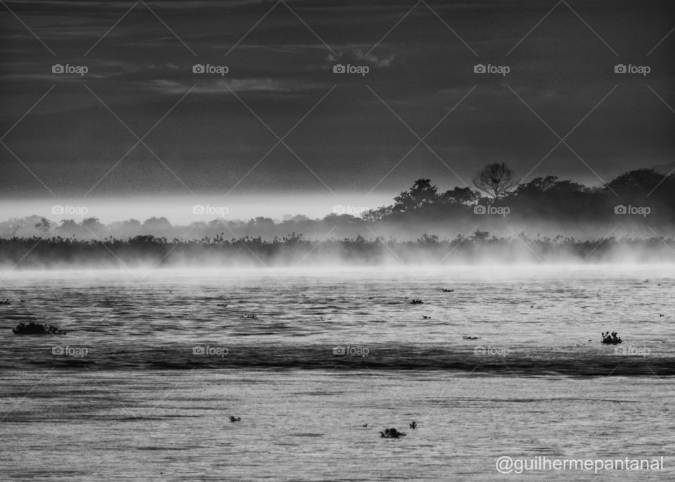 Amanhecer no Pantanal com o rio encoberto pela névoa branca