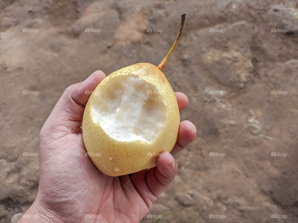Close-up of hand holding pear with bite marks
