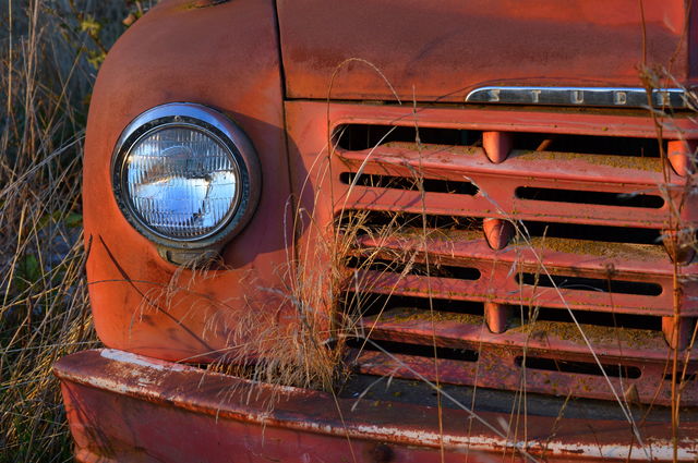 Studebaker love. Vintage studebaker in the field