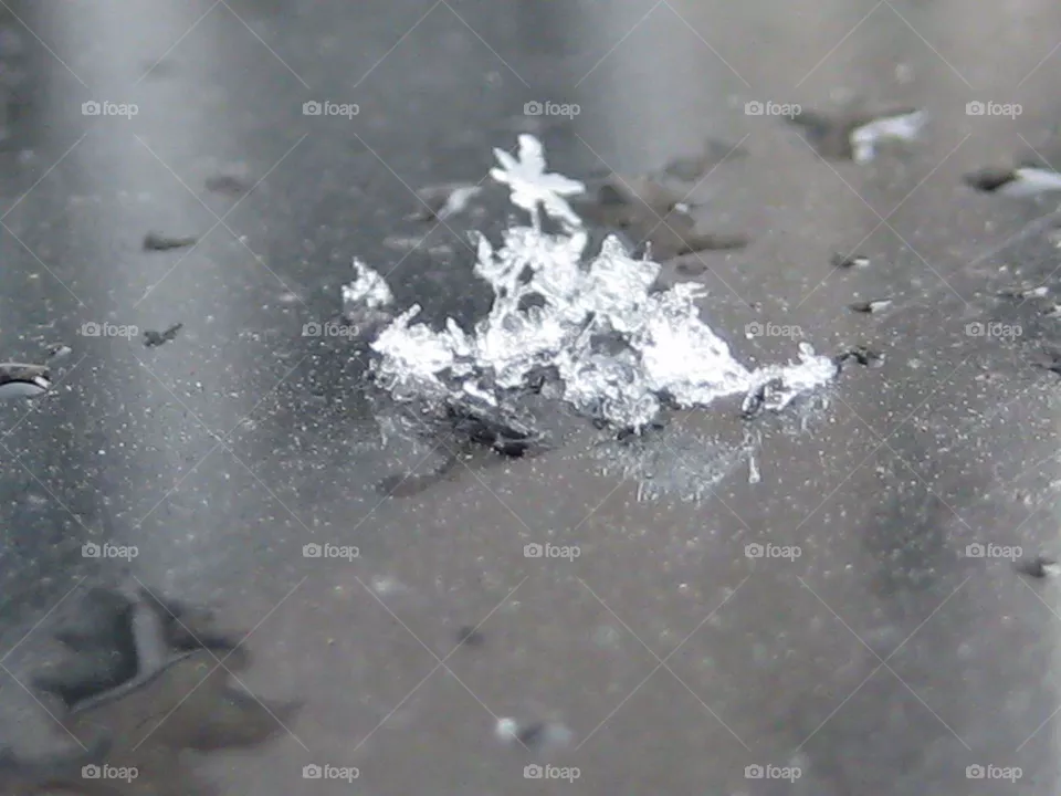 snow