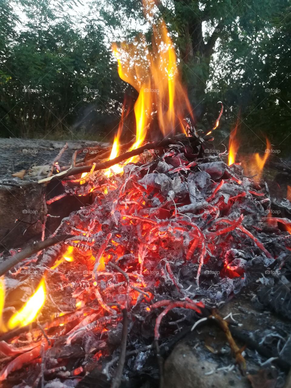 Magic texture of fire