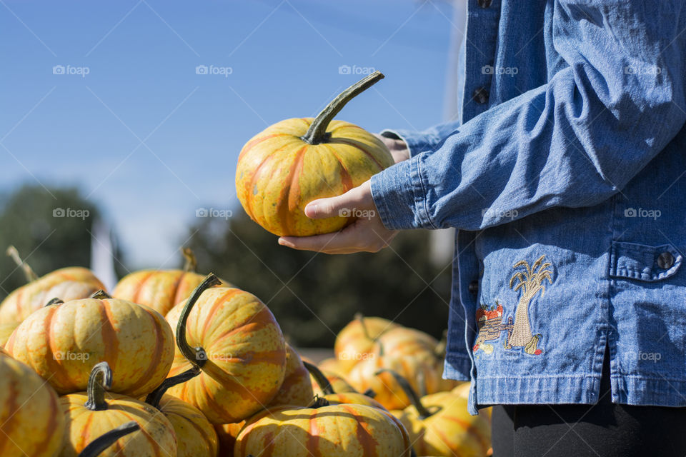 Picking pumpkins at local farms in October themed clothing to get into the autumn feeling