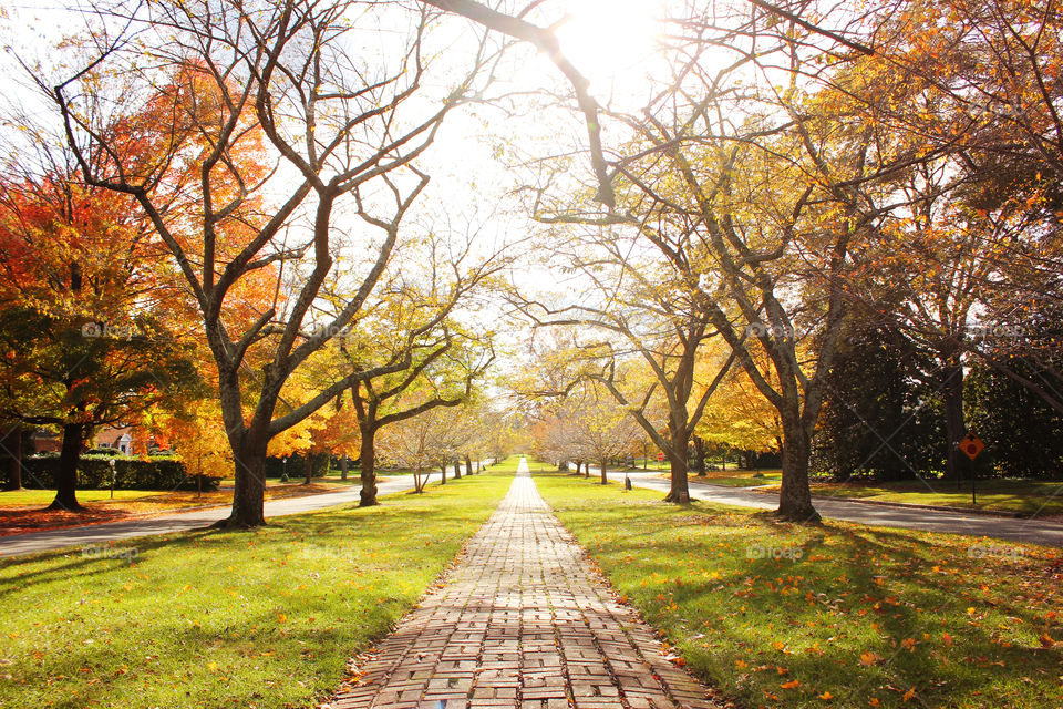 Autumn in Windsor Farms. Richmond, VA