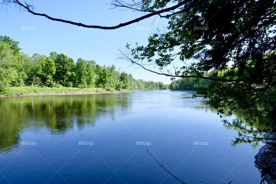 Looking down the lake front