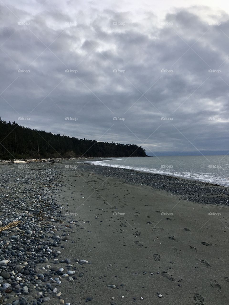 Cloudy view of Washington state beach with trees 